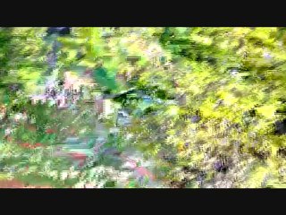 rallye du chambost 2010