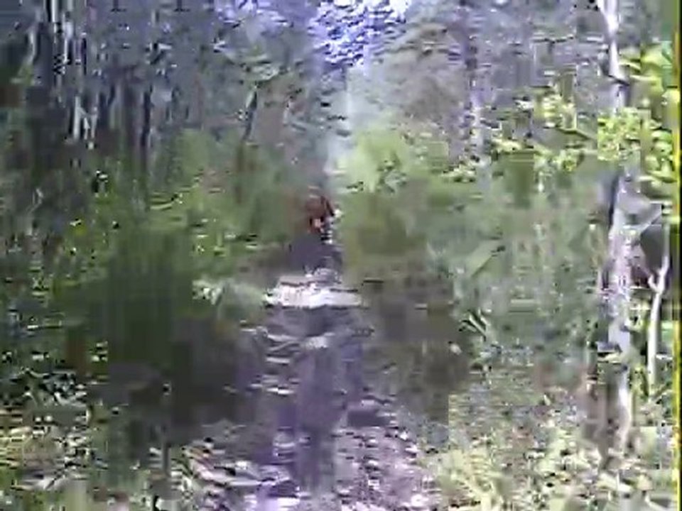 VID0077
