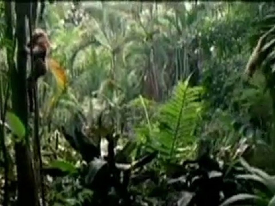 Lost Island Von der Evolution vergessen