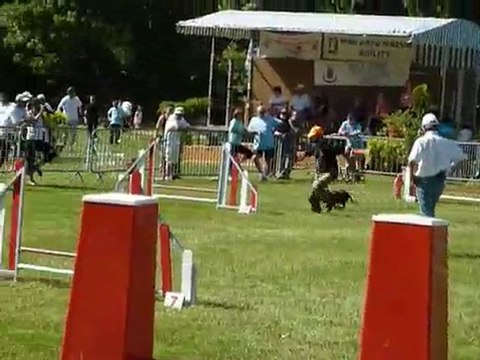 TGR Miramas - Asian - 1er jour Jumping