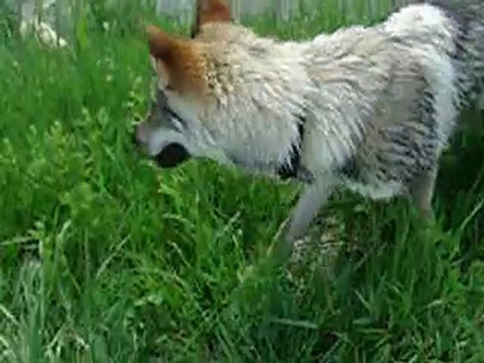Un petit tour dans l'eau!