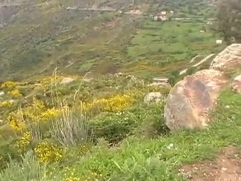 paysages kabyles au printemps