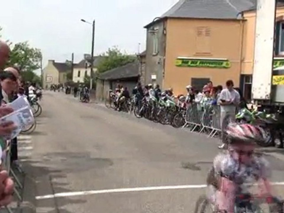 arrivée des poussins