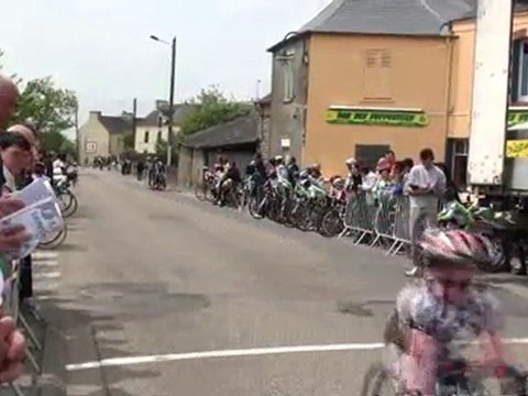 arrivée des poussins