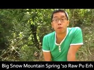 world’s oldest tea trees