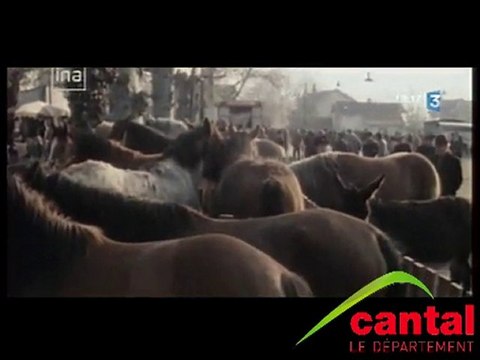 Foire aux chevaux à Maurs dans les Années 70