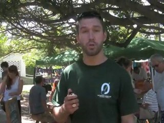 Route 62 (Part3) - Beers Backpackers and Breakfasts on