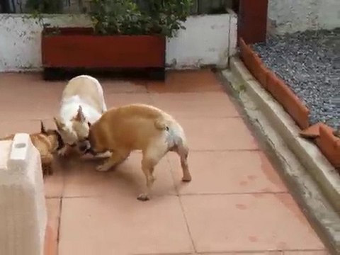 les bébés et les grands 2