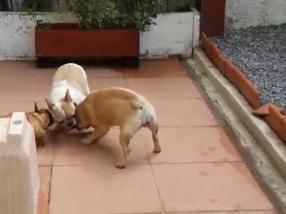 les bébés et les grands 2