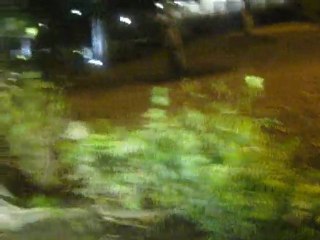 Club Car avec la crew ... Gwada