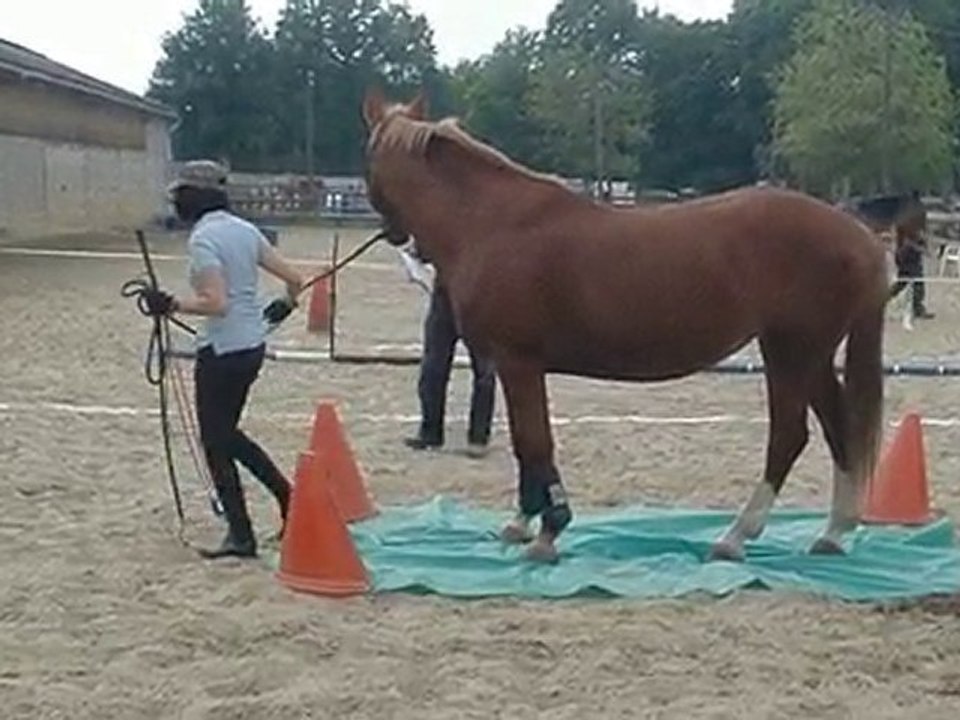 Pascale et Megane, La bache