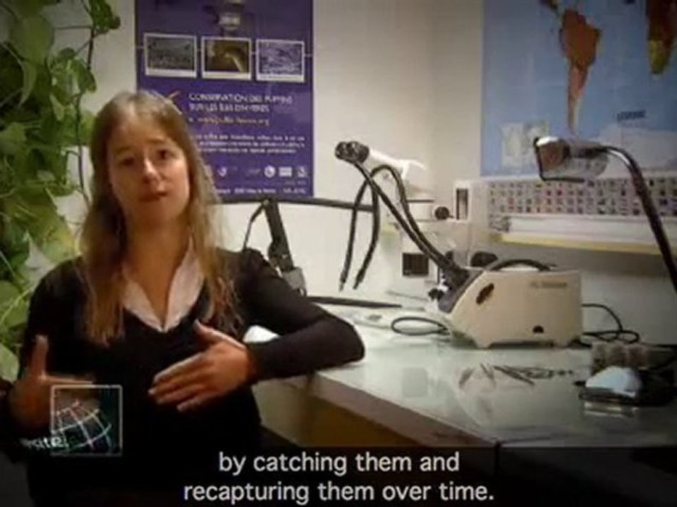 Les Héros de la Biodiversité - Lise Ruffino - Rats - Eng Sub