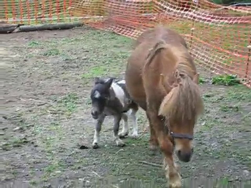 Julie et son petit