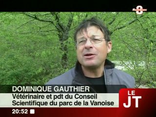 Le bouquetin des Alpes menacé