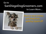 Pet Grooming - Find the Best Dog Groomers in San Diego, CA