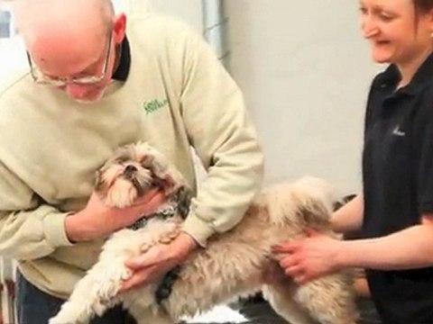 Dyrlæge Sjælland Køge Køge Dyreklinik Kåre Mortensen