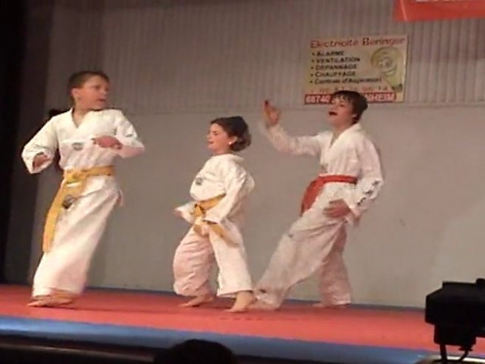 GALA D'ARTS MARTIAUX A BLODELSHEIM 08.05.10