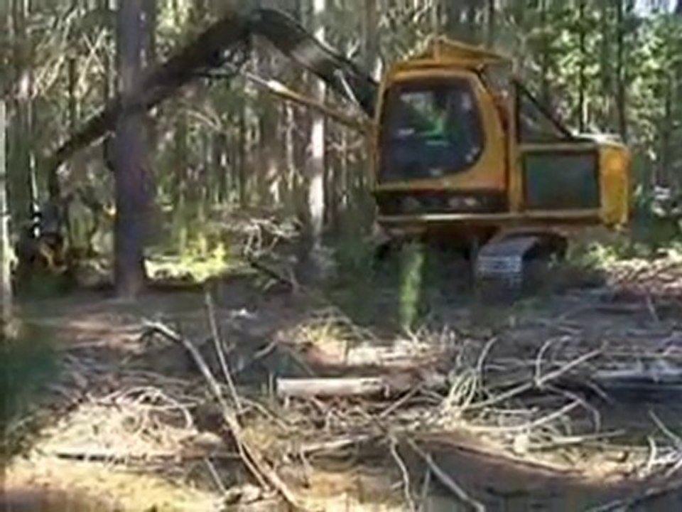 AFM 60 on Komatsu in Thinnings