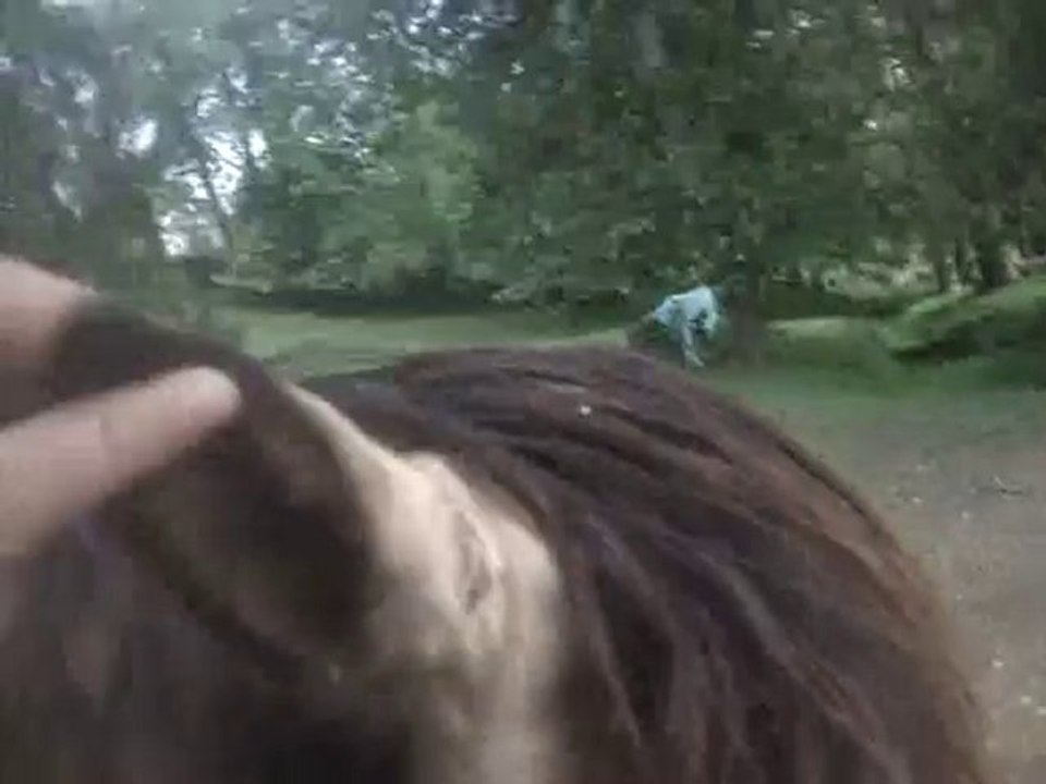 MOV00201