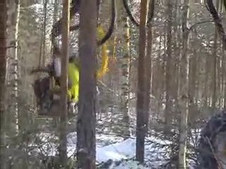 AFM 50 L on Logman in Thinnings