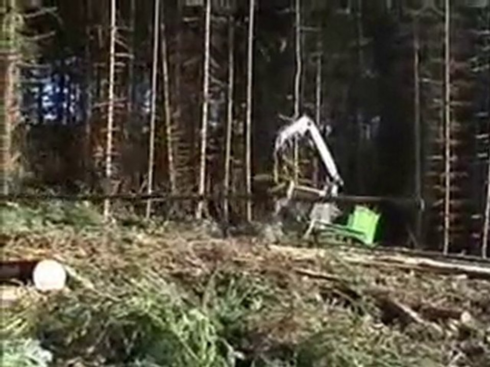 AFM 60 on Abatrax in Tree-length