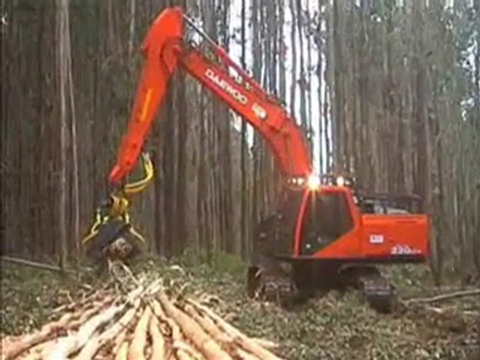 AFM 60 on Daewoo in Tree-length