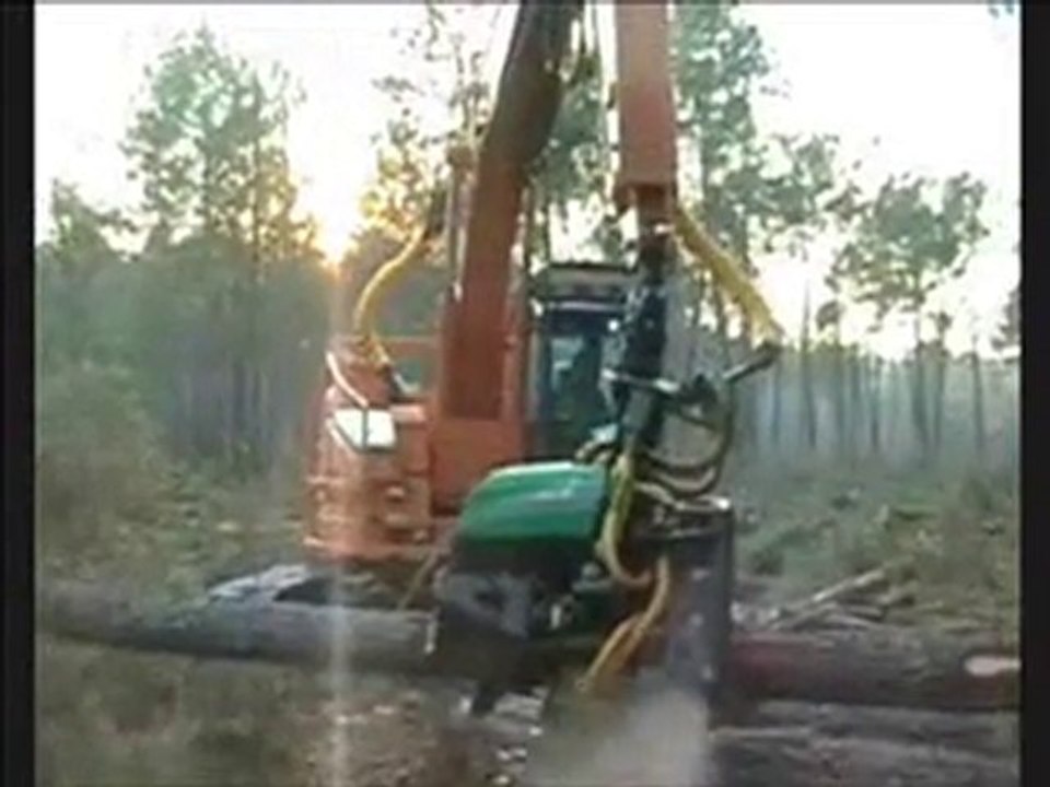 AFM 60 processing curved trees 2