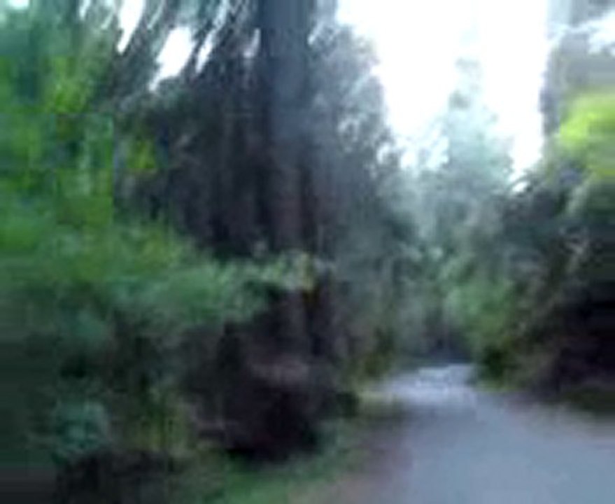 0425002126