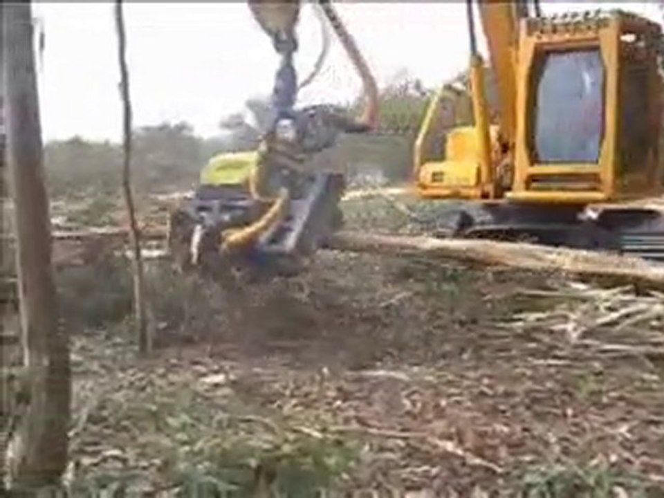AFM 60 on Komatsu in Eucalyptus 2