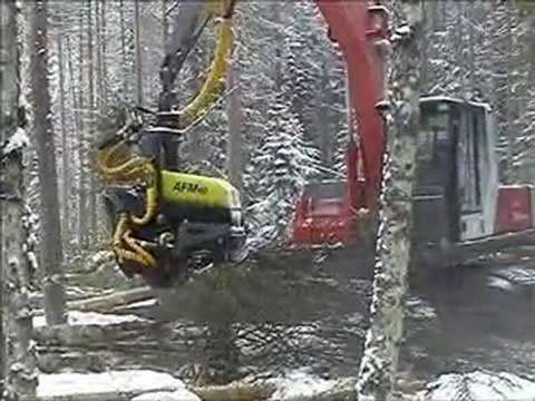 AFM 60 on O&K in harvesting birch