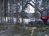 AFM 60 L on Valmet in harvesting birch