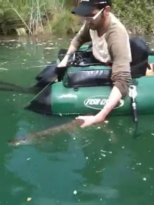 Remise à l'eau brochet par Ben