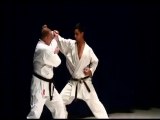 karate Lessons Online Karate Moves and Kata Applications Ka