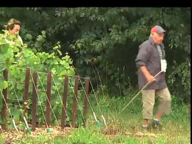 Escapade gourmande en Champagne