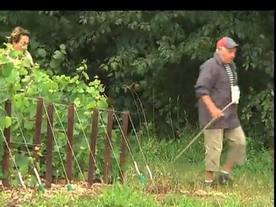 Bulles en Balade : A la rencontre des Vignerons champenois