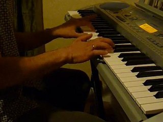 andrias japonicus / merlinus