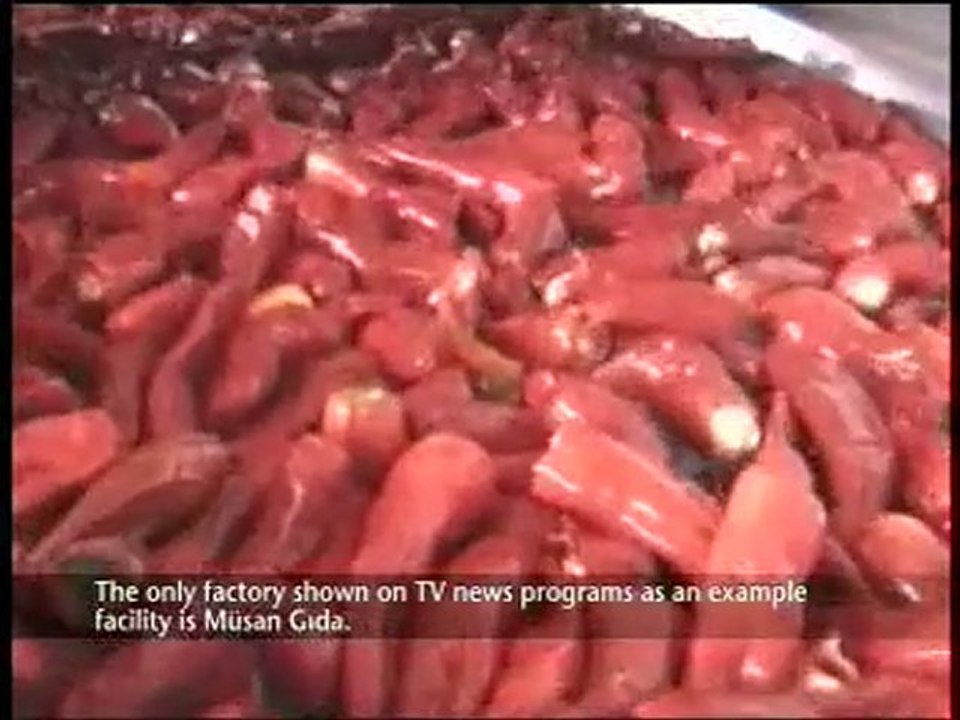 MUSAN - MÜSAN Gıda - Food - Gewurze Microwave Drying Factory