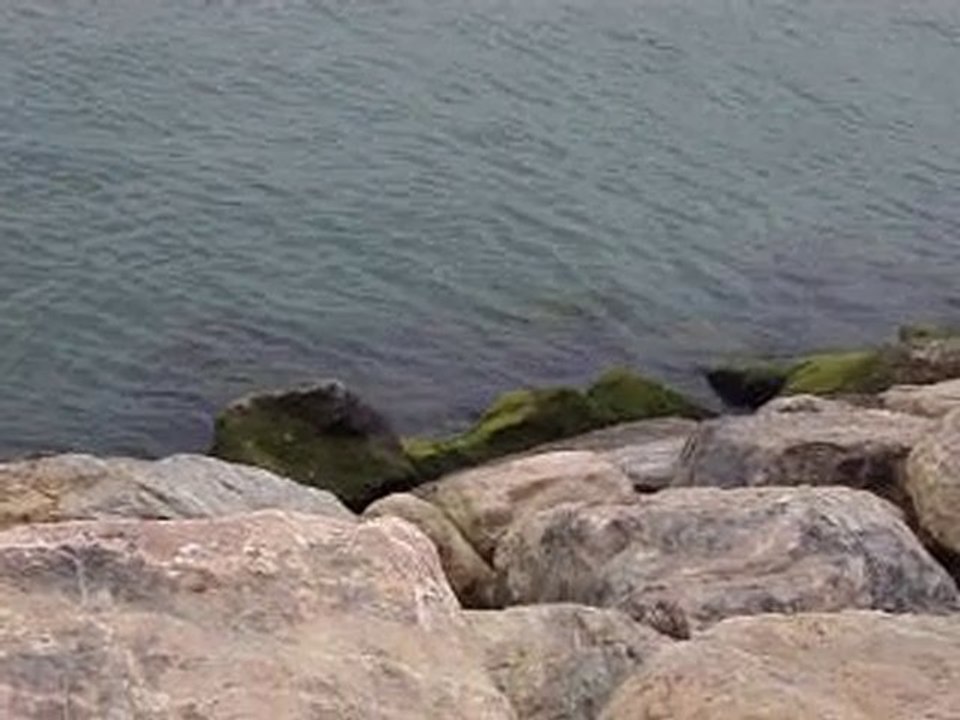 PETRONAS-OIL - BIENTOT UN  CAUCHEMAR EN- OFFSHORE RABAT-SALE