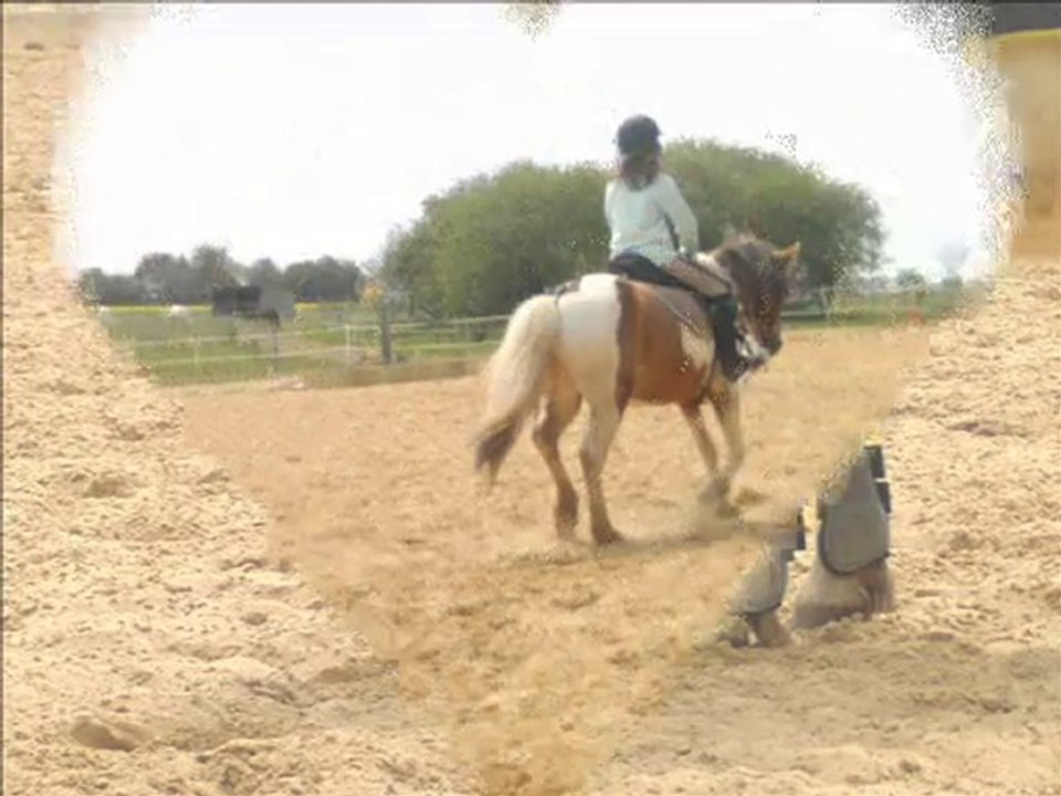 cour du 08-05-2010 2h30-3h