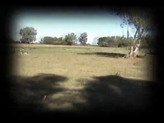 Juntada 08/05/2010 por Ingeniería Neumática