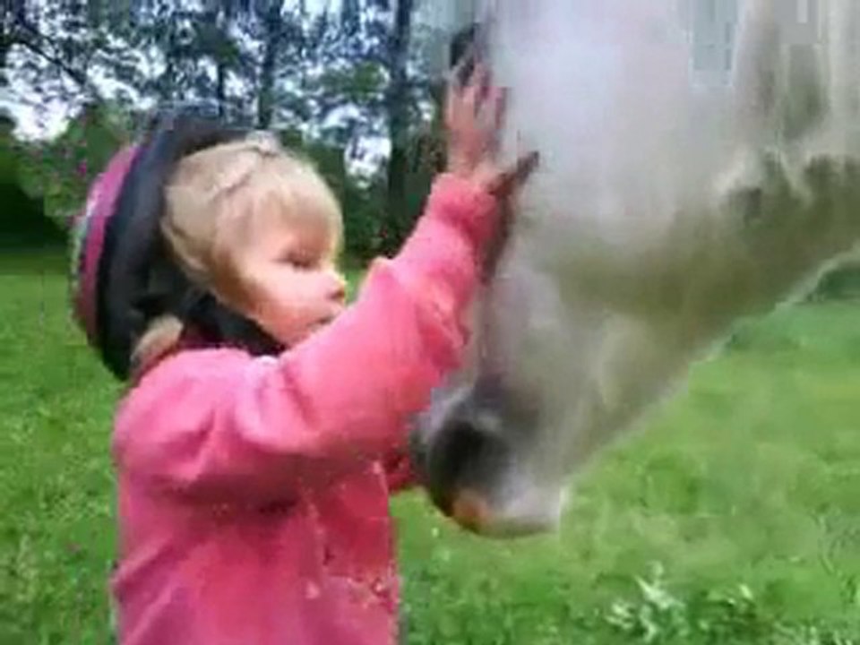 la complicité d'un cavalier  et de son cheval