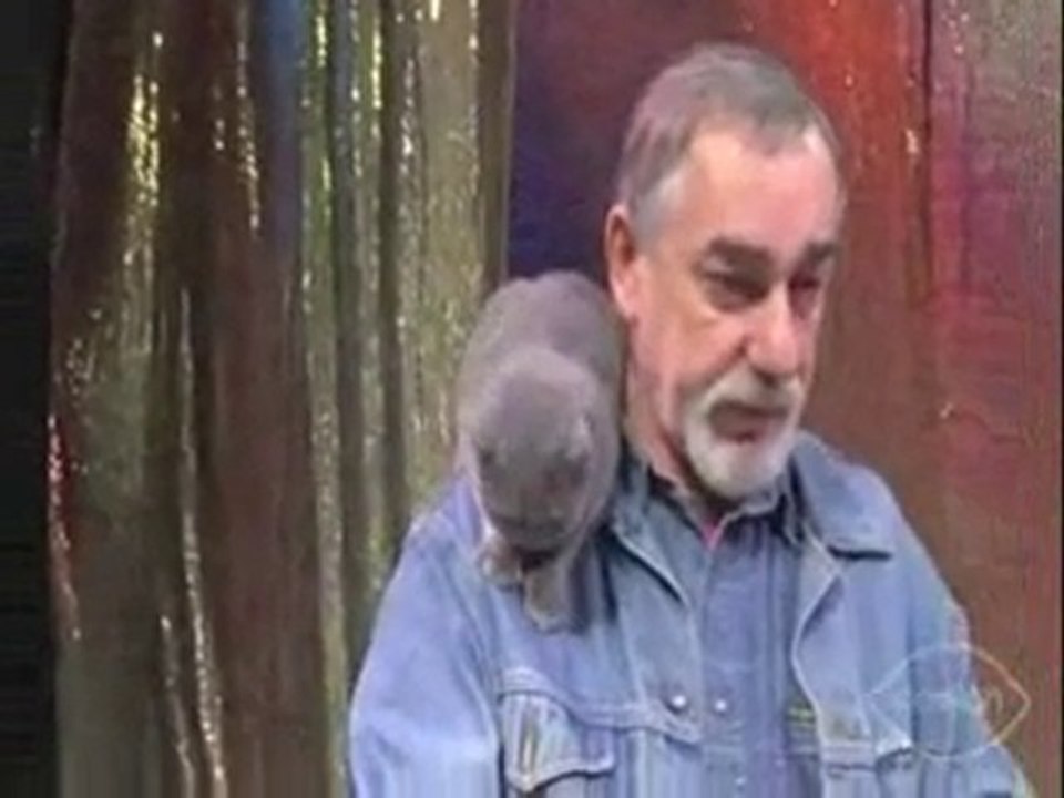 INCROYABLE CIRQUE DE CHATS ACROBATES A MOSCOU