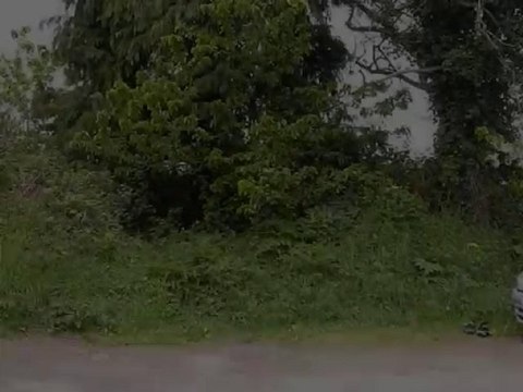 Film Trouc 2010 Bande Annonce 1 - L'Evangile selon Dumyt -