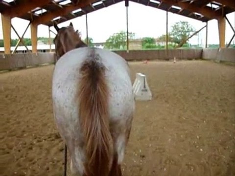 Dimanche 9 mai 2010 - Pharaon