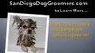 Pet Grooming - Find the Best Dog Groomers in San Diego, CA