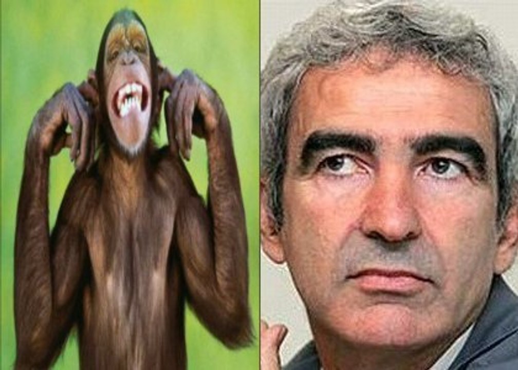 la vie privée des animaux " la sélection de domenech"
