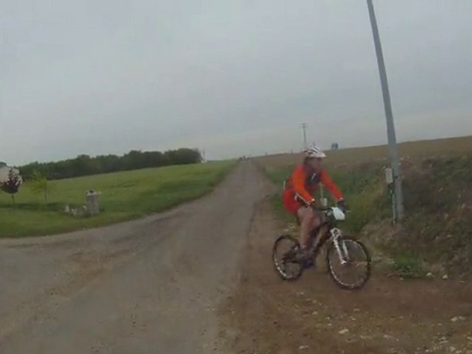 Transvienne 2010