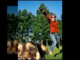 Top Dog Training Collars Video