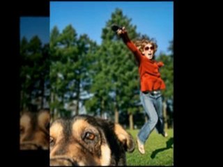 Top Dog Training Collars Video