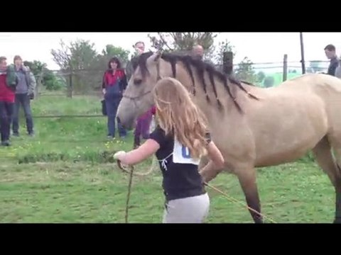 Jeu des embuches Equifeel du 09 05 2010